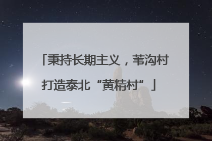 秉持长期主义，苇沟村打造泰北“黄精村”