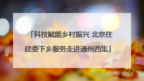 科技赋能乡村振兴 北京住建委下乡服务走进通州西集