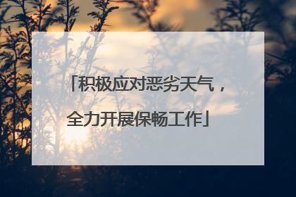 积极应对恶劣天气，全力开展保畅工作