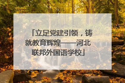 立足党建引领，铸就教育辉煌——河北联邦外国语学校