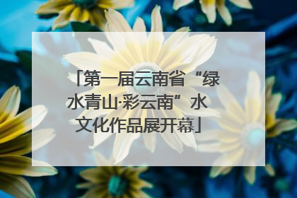 第一届云南省“绿水青山·彩云南”水文化作品展开幕