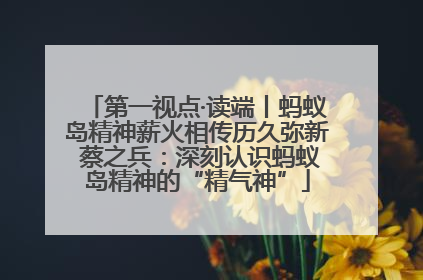 第一视点·读端丨蚂蚁岛精神薪火相传历久弥新 蔡之兵：深刻认识蚂蚁岛精神的“精气神”