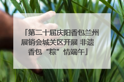 第二十届庆阳香包兰州展销会城关区开展 非遗香包“粽”情端午