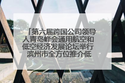 第六届跨国公司领导人青岛峰会通用航空和低空经济发展论坛举行 滨州市全方位推介低空经济发展优势
