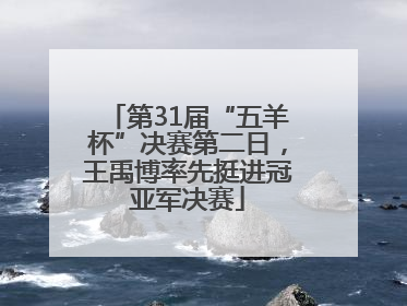第31届“五羊杯”决赛第二日，王禹博率先挺进冠亚军决赛