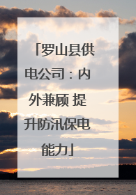 罗山县供电公司：内外兼顾 提升防汛保电能力