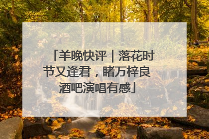 羊晚快评｜落花时节又逢君，睹万梓良酒吧演唱有感