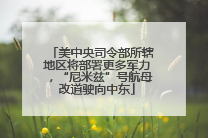 美中央司令部所辖地区将部署更多军力，“尼米兹”号航母改道驶向中东