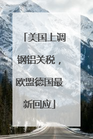 美国上调钢铝关税，欧盟德国最新回应