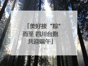 美好接“粽”而至 四川台胞共迎端午