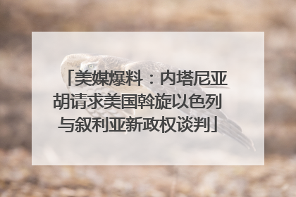美媒爆料：内塔尼亚胡请求美国斡旋以色列与叙利亚新政权谈判