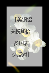 美钢铝关税加倍 多国表达反对