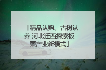 精品认购、古树认养 河北迁西探索板栗产业新模式