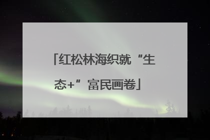 红松林海织就“生态+”富民画卷