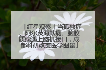 红星观察丨当孤独症、阿尔茨海默病、脑胶质瘤遇上脑机接口，成都科研改变医学图景