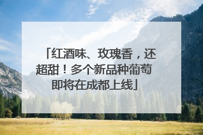红酒味、玫瑰香，还超甜！多个新品种葡萄即将在成都上线