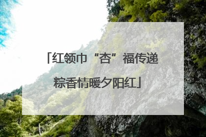红领巾“杏”福传递 粽香情暖夕阳红