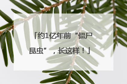 约1亿年前“僵尸昆虫”，长这样！