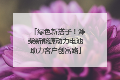 绿色新搭子！潍柴新能源动力电池助力客户创富路