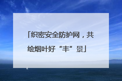 织密安全防护网，共绘烟叶好“丰”景