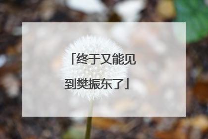 终于又能见到樊振东了