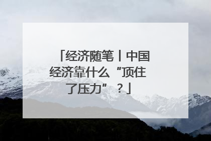经济随笔丨中国经济靠什么“顶住了压力”？