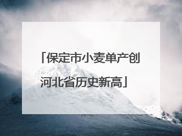 保定市小麦单产创河北省历史新高