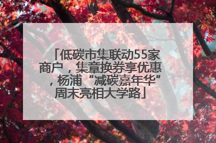 低碳市集联动55家商户，集章换券享优惠，杨浦“减碳嘉年华”周末亮相大学路