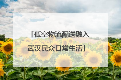 低空物流配送融入武汉民众日常生活