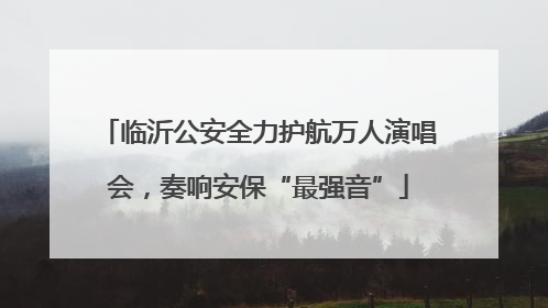 临沂公安全力护航万人演唱会，奏响安保“最强音”