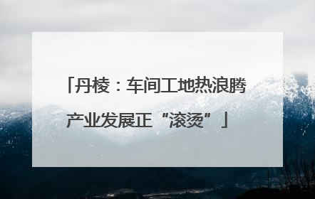 丹棱：车间工地热浪腾产业发展正“滚烫”