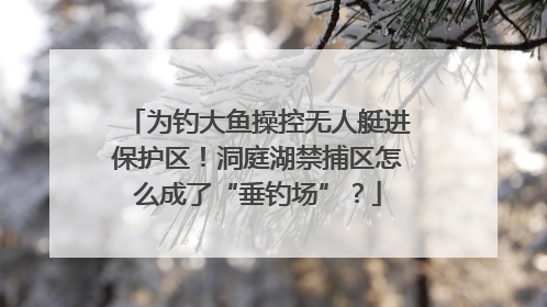 为钓大鱼操控无人艇进保护区！洞庭湖禁捕区怎么成了“垂钓场”？