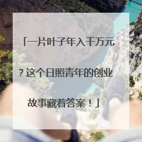 一片叶子年入千万元？这个日照青年的创业故事藏着答案！