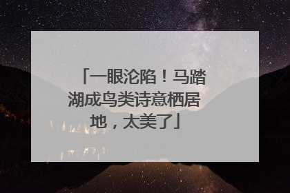 一眼沦陷！马踏湖成鸟类诗意栖居地，太美了
