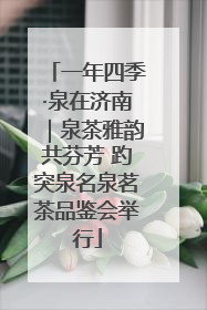 一年四季·泉在济南｜泉茶雅韵共芬芳 趵突泉名泉茗茶品鉴会举行