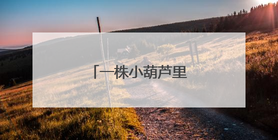 一株小葫芦里的育人智慧