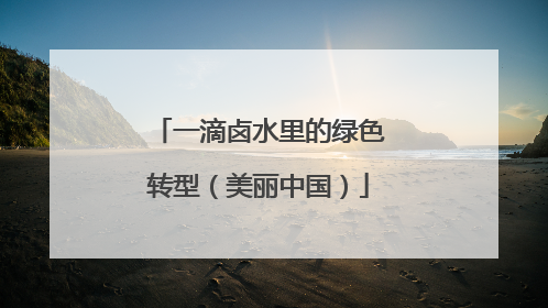 一滴卤水里的绿色转型（美丽中国）