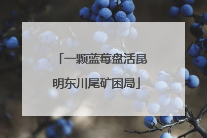 一颗蓝莓盘活昆明东川尾矿困局