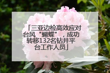 三亚边检高效应对台风“蝴蝶”，成功转移132名钻井平台工作人员