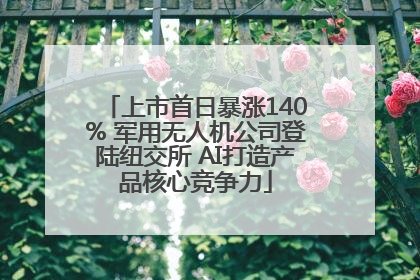 上市首日暴涨140% 军用无人机公司登陆纽交所 AI打造产品核心竞争力