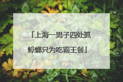 上海一男子四处抓蟑螂只为吃霸王餐