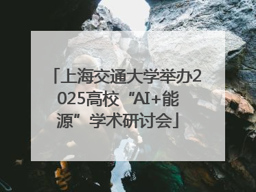 上海交通大学举办2025高校“AI+能源”学术研讨会