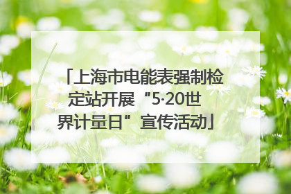 上海市电能表强制检定站开展“5·20世界计量日”宣传活动