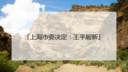 上海市委决定：王平履新