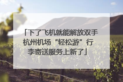 下了飞机就能解放双手 杭州机场“轻松游”行李寄送服务上新了