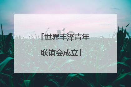 世界丰泽青年联谊会成立