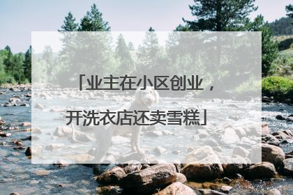 业主在小区创业，开洗衣店还卖雪糕