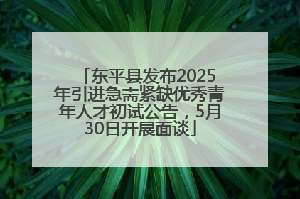 东平县发布2025年引进急需紧缺优秀青年人才初试公告，5月30日开展面谈