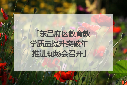 东昌府区教育教学质量提升突破年推进现场会召开