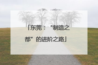 东莞：“制造之都”的进阶之路